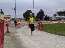 Hipporun by Luca Taronna-471