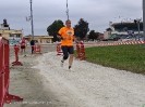Hipporun by Luca Taronna-472