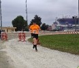Hipporun by Luca Taronna-483