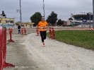 Hipporun by Luca Taronna-488
