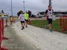 Hipporun by Luca Taronna-502