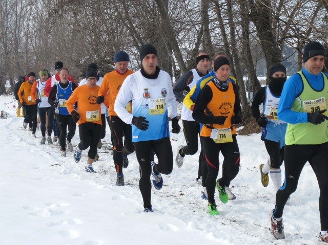 fantasia_claudio_20140201_1995782425