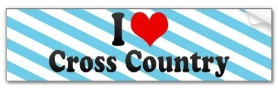 Cross_country99