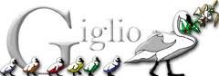 Giglio_onlus